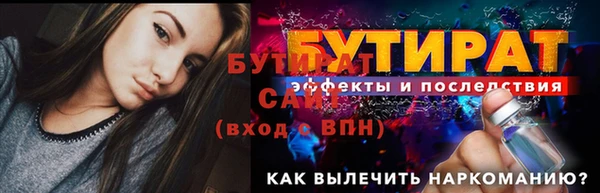 индика Вязьма