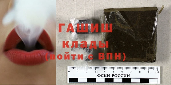 индика Вязьма