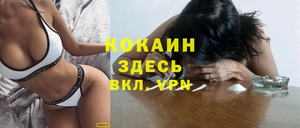 твердый Вяземский