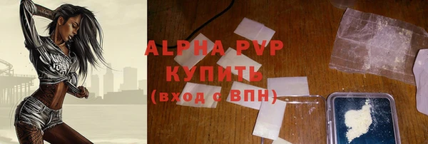 индика Вязьма