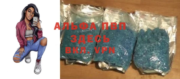 твердый Вяземский
