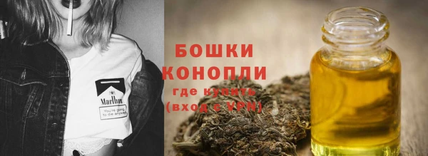 шишки Вязники
