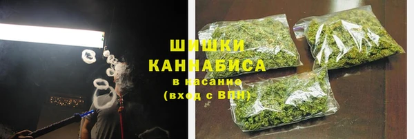 индика Вязьма