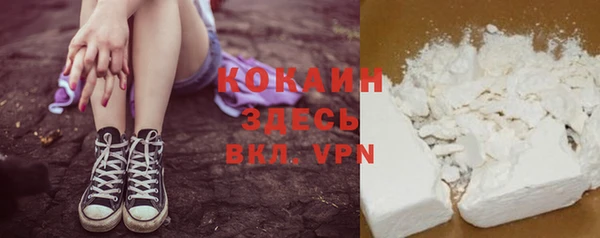 твердый Вяземский