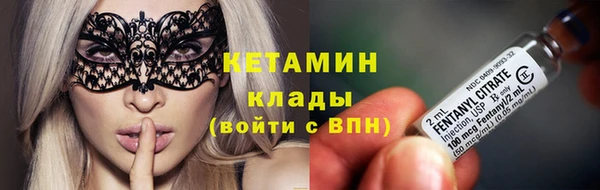 шишки Вязники