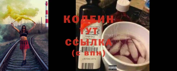 индика Вязьма