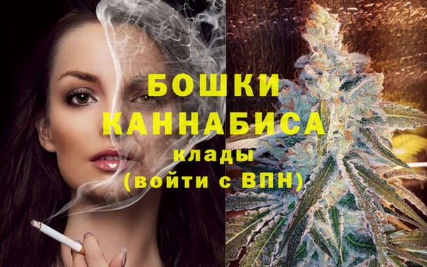 шишки Вязники