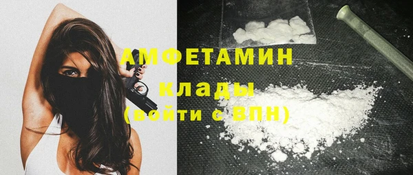 твердый Вяземский