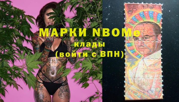 шишки Вязники