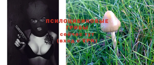 твердый Вяземский