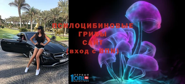 индика Вязьма
