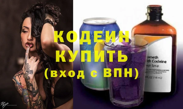 индика Вязьма