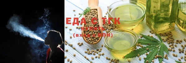 индика Вязьма