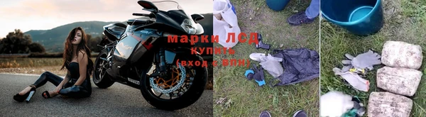 индика Вязьма