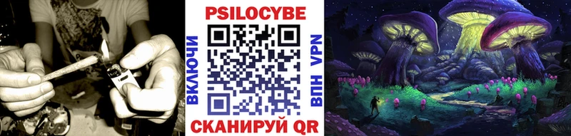 Псилоцибиновые грибы мухоморы  Купить  Керчь 